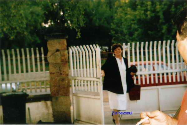 Arányos méretezés